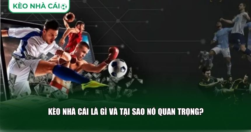 Kèo Nhà Cái Là Gì Và Tại Sao Nó Quan Trọng?